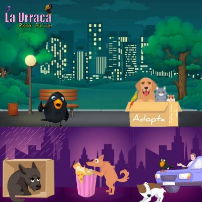 Adopta y salva una vida